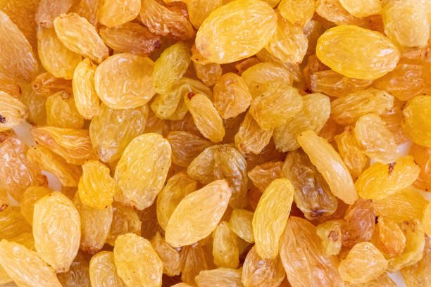 Close-up of raisin texture background. Raisins (dried grapes) are eaten raw or used in cooking, baking, and brewing. Scientific name: Vitis vinifera. Bengali: Kismis or Kishmish.